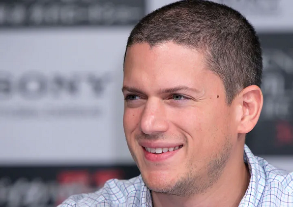 Wentworth Miller Net Worth